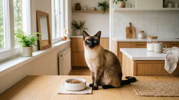 Digestive Enzymes for Cats: Improving Nutrient Absorption Naturally