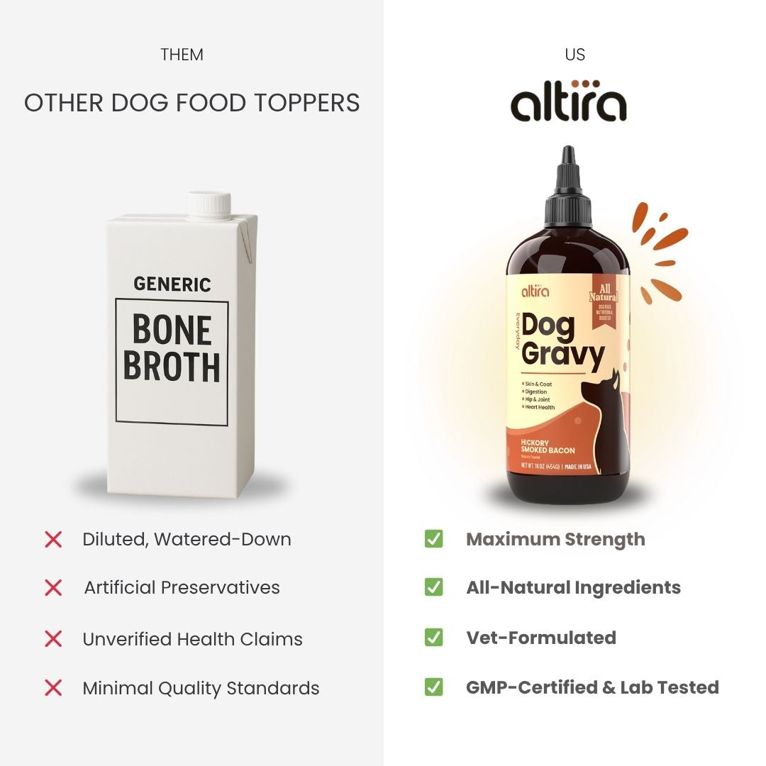 Everyday Dog Gravy: All-in-One Nutrition