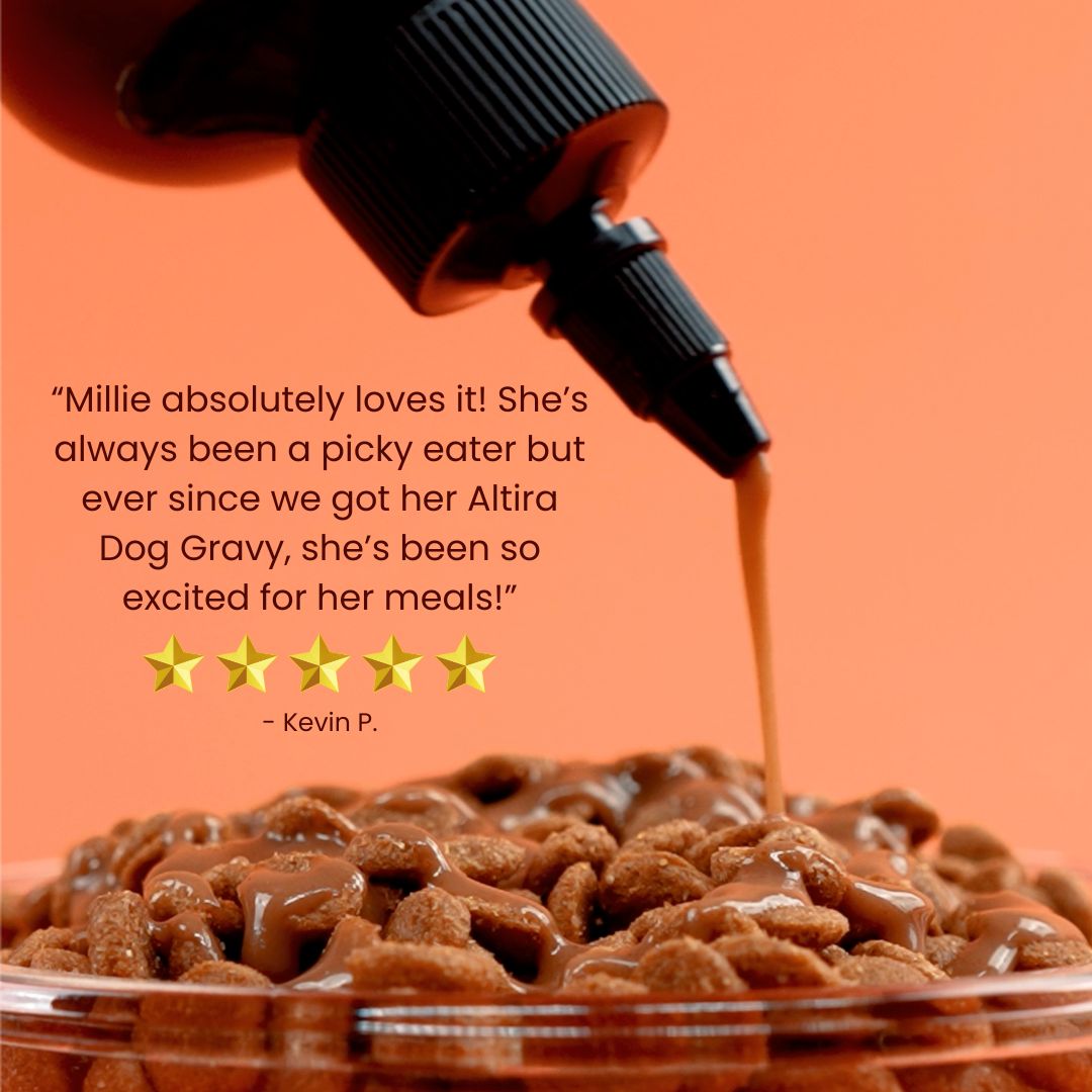 Everyday Dog Gravy: All-in-One Nutrition