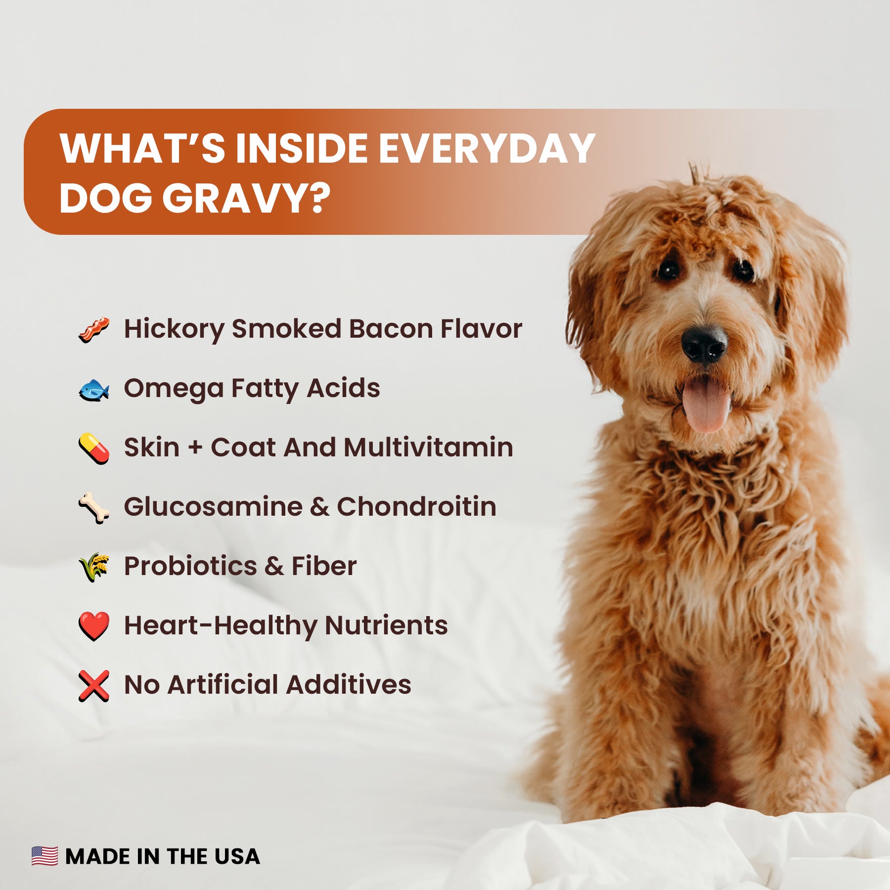 Everyday Dog Gravy: All-in-One Nutrition