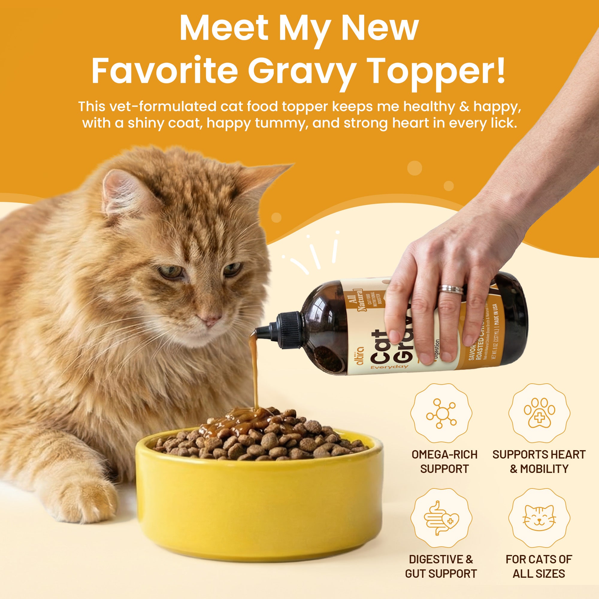 Everyday Cat Gravy - Savory Roasted Chicken