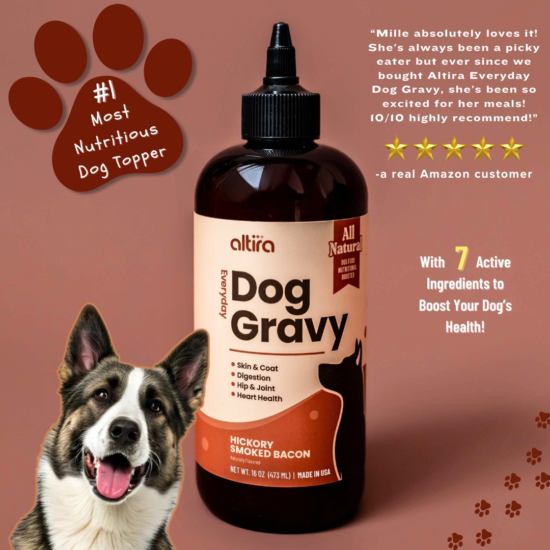 Everyday Dog Gravy: All-in-One Nutrition