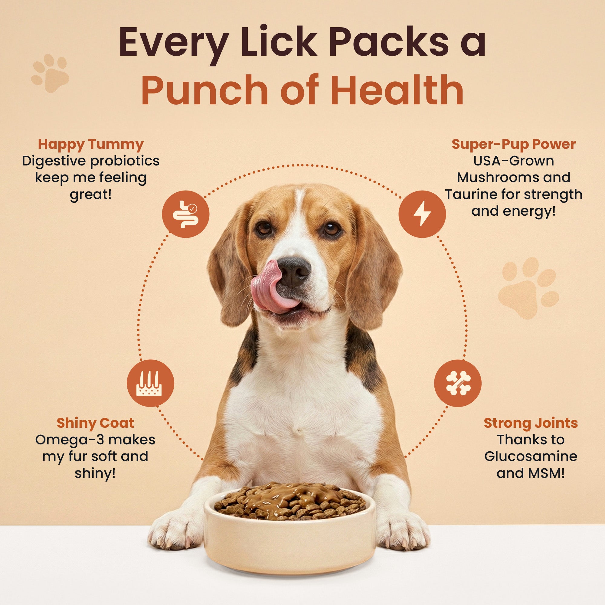 Everyday Dog Gravy - Savory Roasted Beef