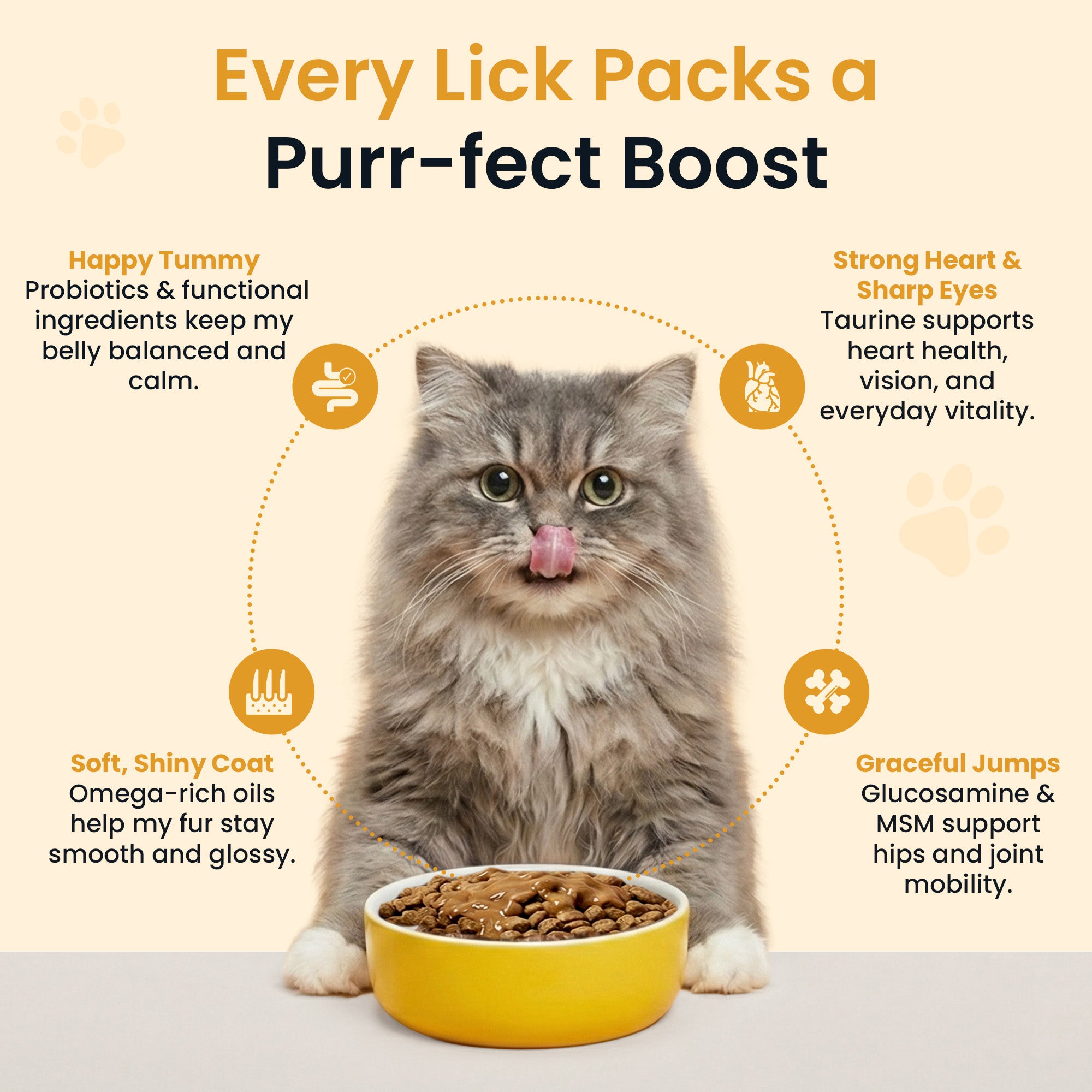 Everyday Cat Gravy - Savory Roasted Chicken